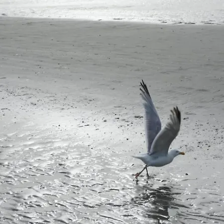 In Near The Beach, Cleaning Included 빌라 *