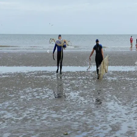 In Near The Beach, Cleaning Included * 코크시데